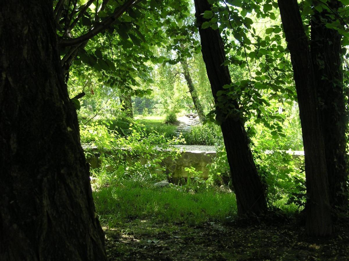 Forest Art Villa Zagreb Sveta Nedjelja  Luaran gambar