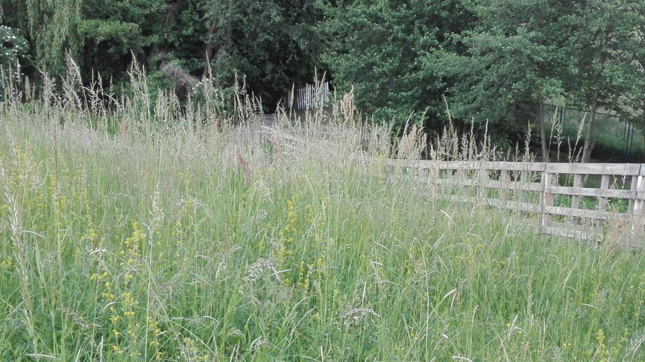 Forest Art Villa Zagreb Sveta Nedjelja  Luaran gambar
