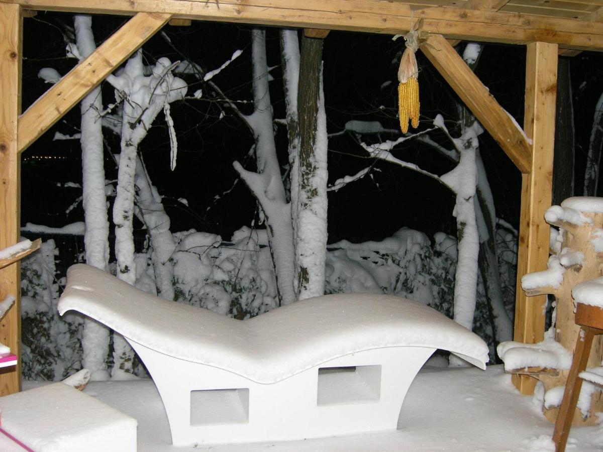 Forest Art Villa Zagreb Sveta Nedjelja  Luaran gambar