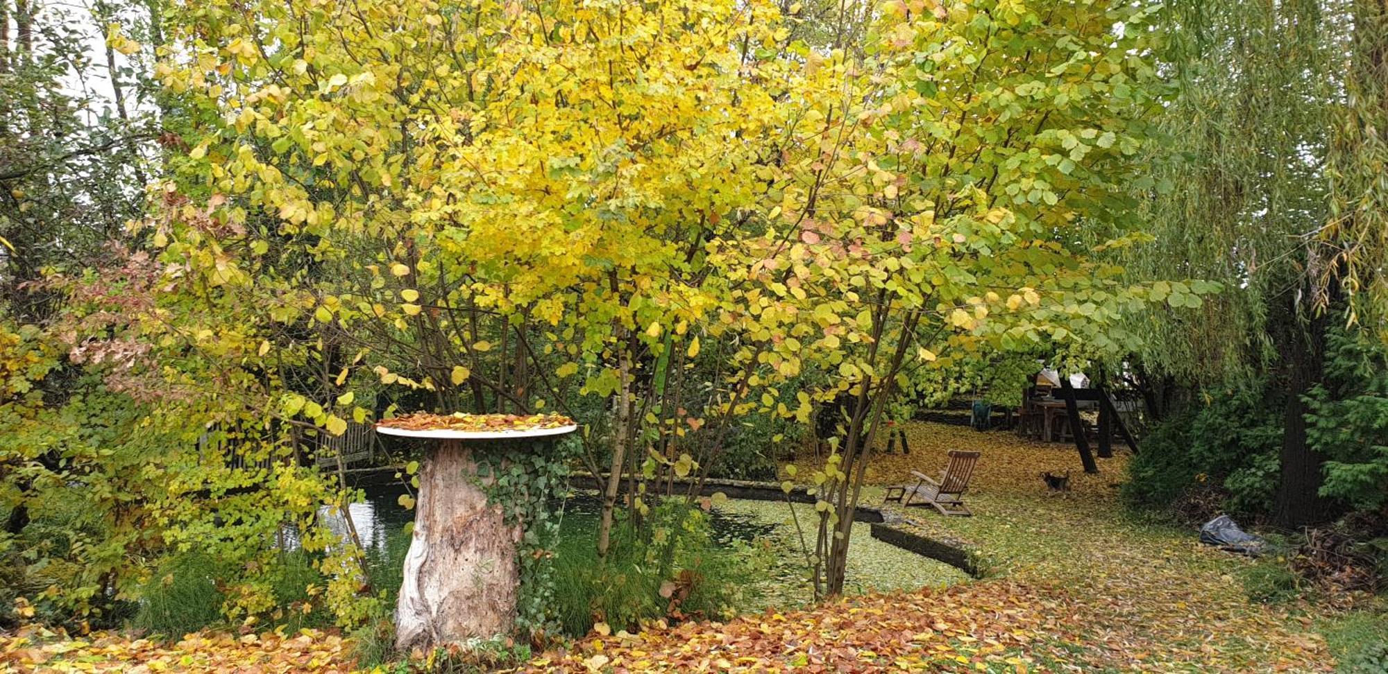 Forest Art Villa Zagreb Sveta Nedjelja  Luaran gambar