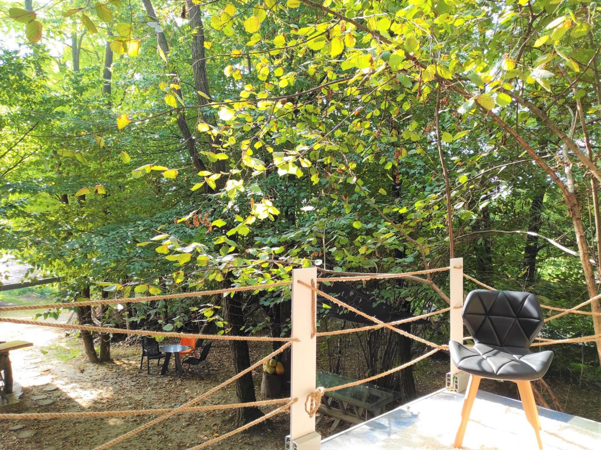 Forest Art Villa Zagreb Sveta Nedjelja  Luaran gambar